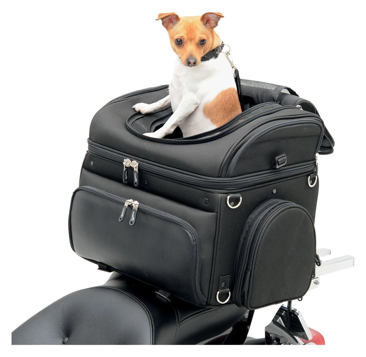 Saddlemen PC3200C Convertible Pet Voyager Carrier 11 Saddlemen PC3200C Convertible Pet Voyager Carrier - Image 11